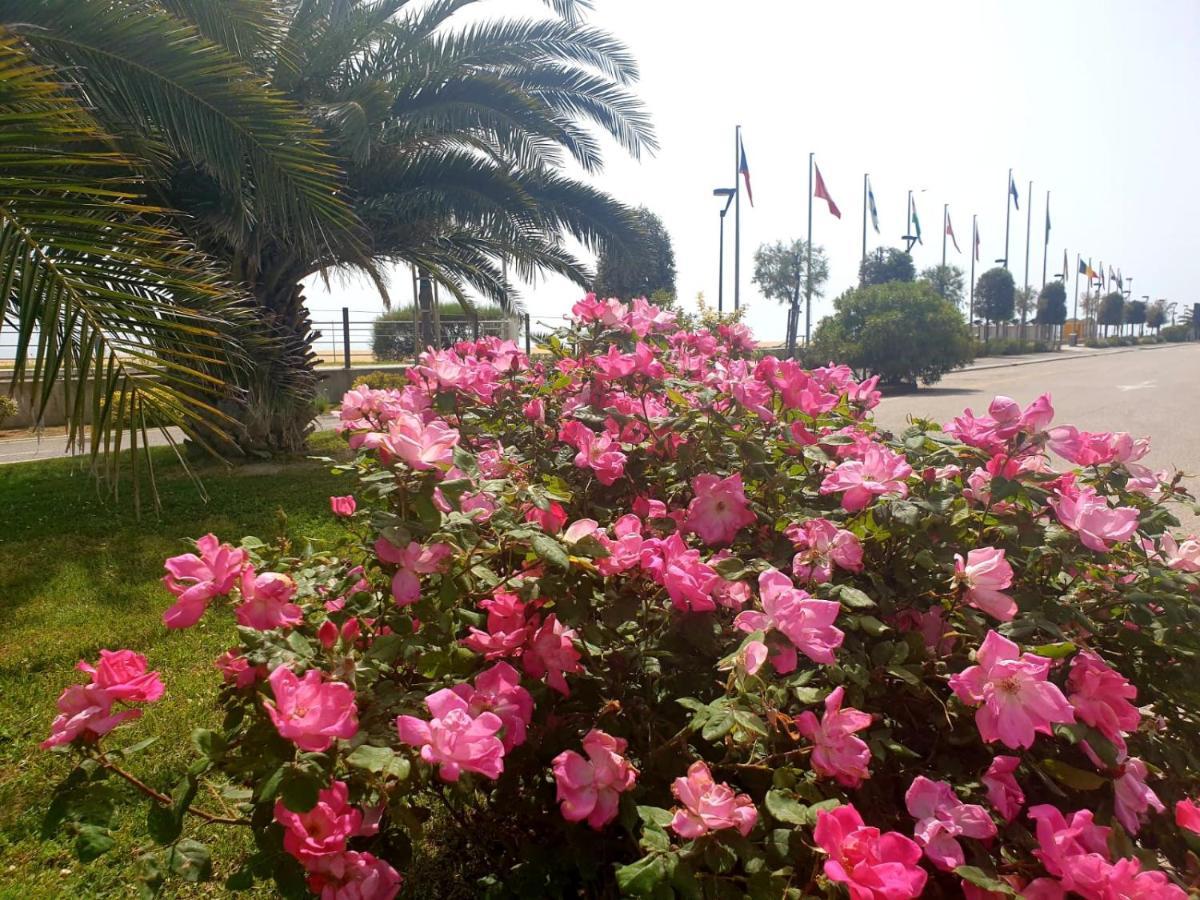 Condominio Zenith Bibione Exteriér fotografie